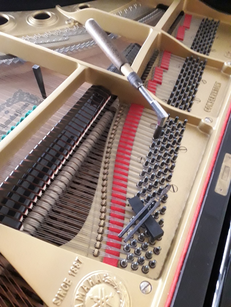 Accord Piano à queue