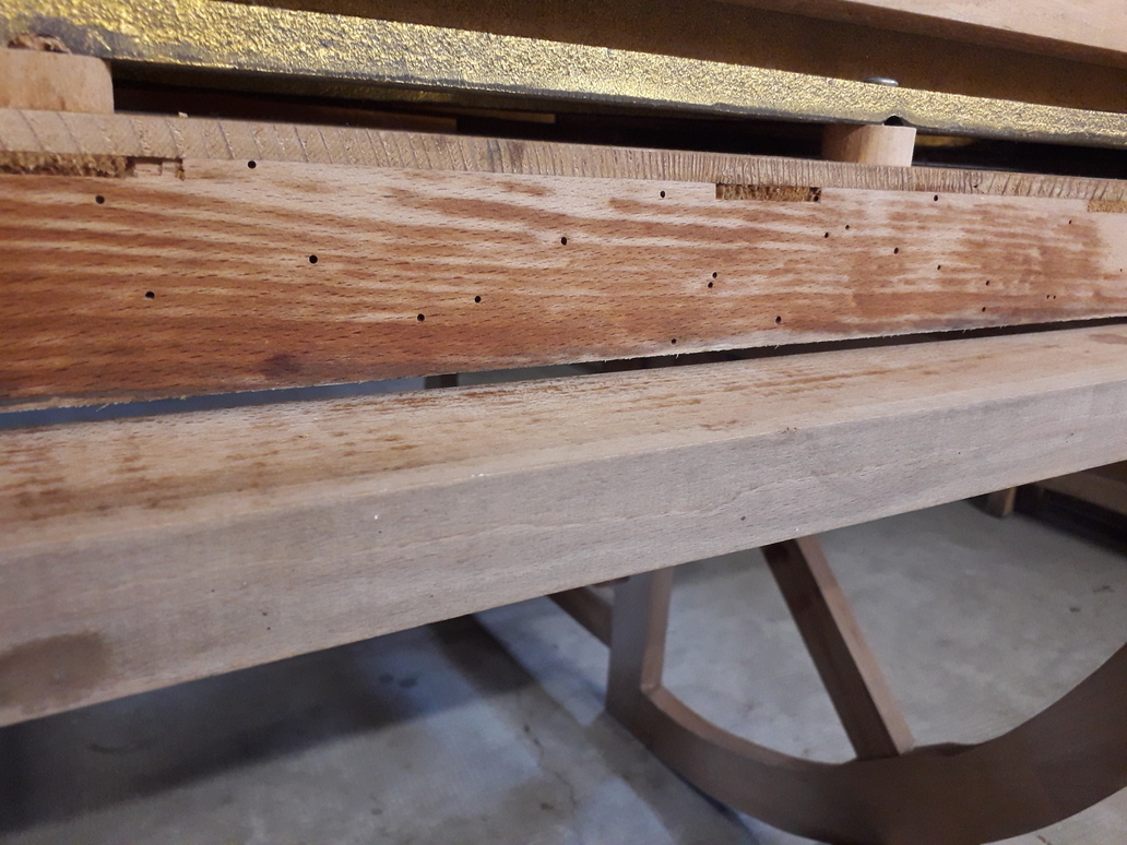 Contamination par insectes xylophages