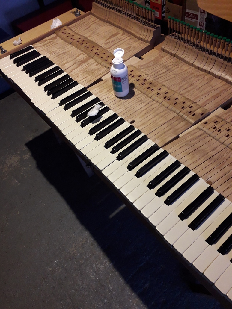 Nettoyage approfondi clavier en ivoire