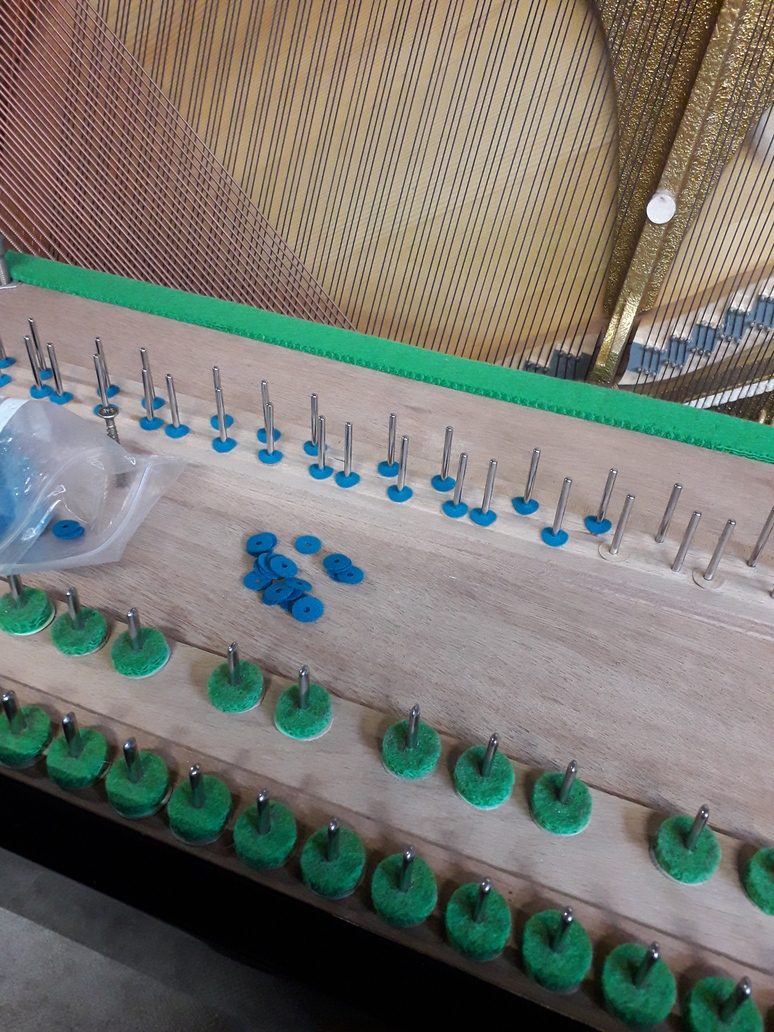 Remplacement des mouches